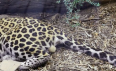 ��Ҋ������ô����