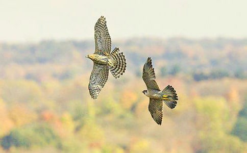 �n�����꼉��������