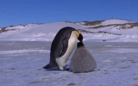 �xС�f����Խ�����Đۡ��и�