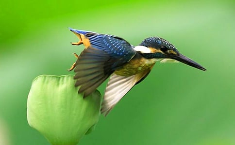 ���꼉���Z�ġ����B���̌W(xu��)��˼