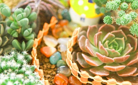 �B���ľGɫ��������꼉����