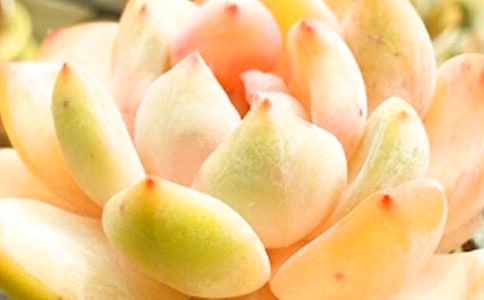 ����׃ɫ֮�i����
