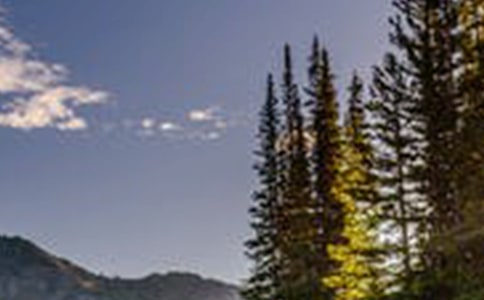 �ª����L��������������