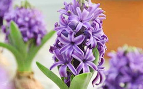 �L����Ҳ��ͯԒ��һ����