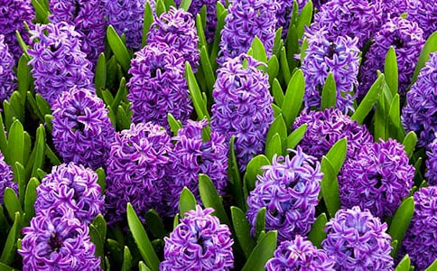 �L����ֲ���^����ӛ
