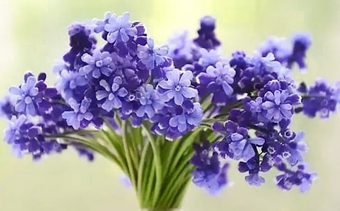 �L�����^����ӛ450��