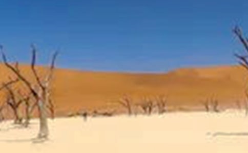 ������λ�Į���͸ɺ��գ����o��ľ����