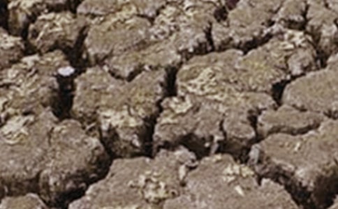 ɳĮ�ܸɺ�����ʲô�����ܻ���ȥ