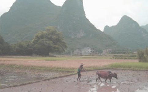 �ܹ�����Ҋ����
