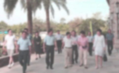 ���̾־W�Ɍ�����ι������Y