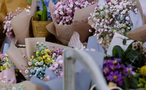 �c�������P�Č�