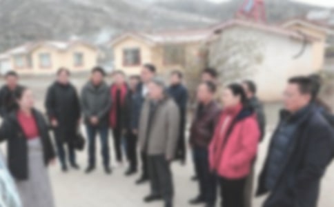 ���Ӹɲ�Մ�l(xi��ng)�����d�ĵ��w��(hu��)