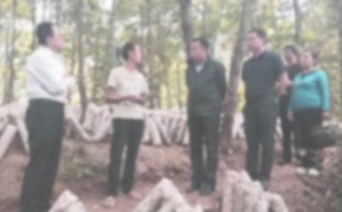 �o(j��)�z���W(xu��)�ڹ������Y(ji��)