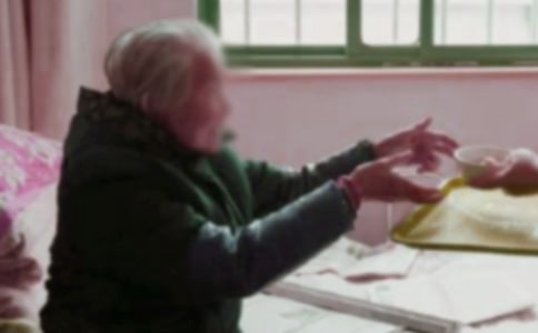 ����Ժ���ĵ��w��5ƪ(���])
