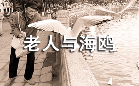 �����c���t�ĵ��w��