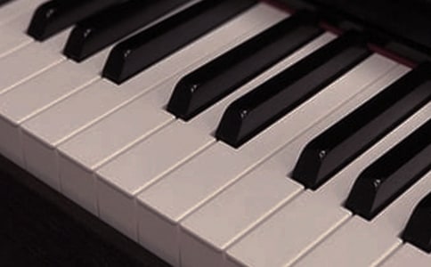 һ������Ę������꼉����