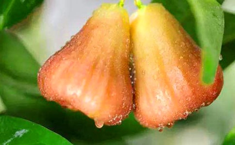 ɏ�F�����ģ�ͨ��15ƪ��