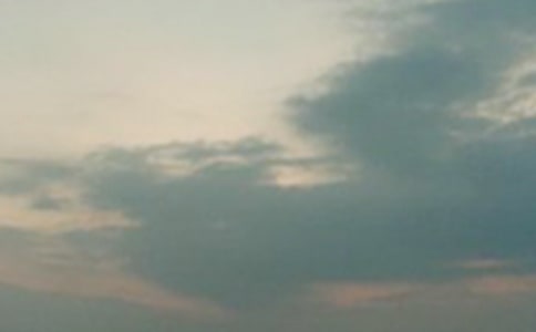 �x�����賿���c���и�