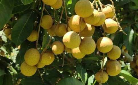 ժ������ӛ450��
