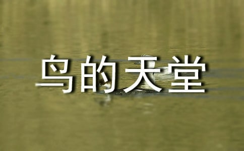 �B����������400�֣����x33ƪ��