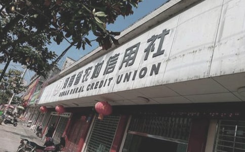 �r(n��ng)�������紺Ӗ(x��n)��ӌW(xu��)��(x��)�ĵ��w������