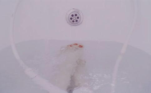 ����С�W����