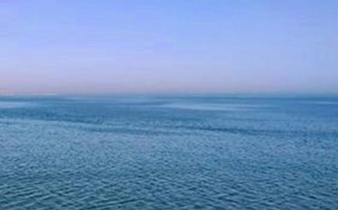 �^���ػʍu��ɢ���S�P