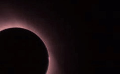 ��ʳ�Ĺ�������600��