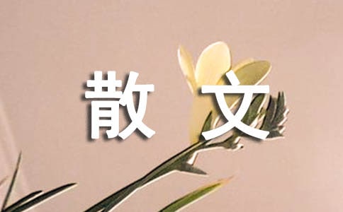΢��ɢ��Ԋ��
