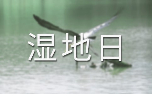�������ջ�ӷ���
