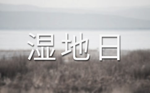 ��ӛ�����ĺɢ��