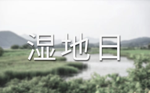 ��������������ӿ��Y����