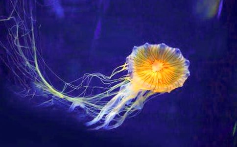 ��ˮĸ�����ģ����x30ƪ��