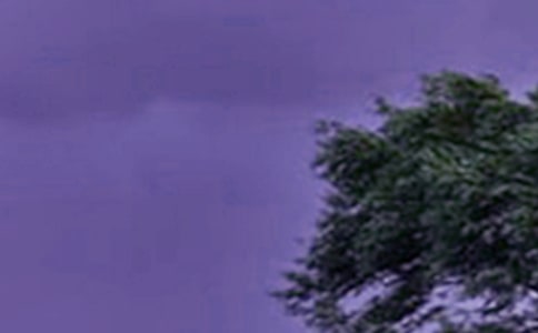 �_�L