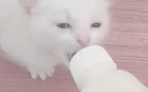 ��Ҋ����ι�̵���˼