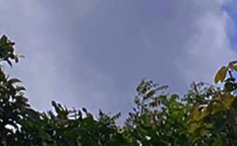 �P��Ψ���簲ף���Z30�侫�x