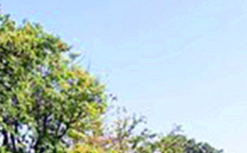 �����簲������ȫ��ͨ��50�䣩