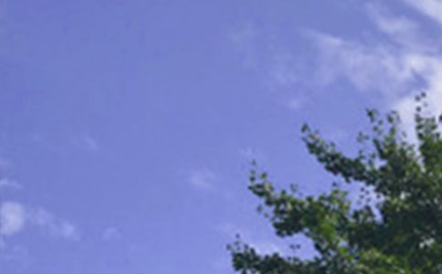 �����簲�Z�30�侫�x