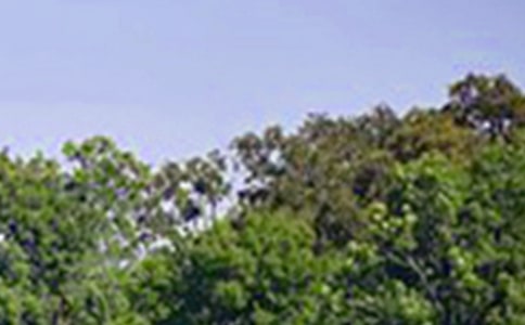 �����־�簲�����R��50��