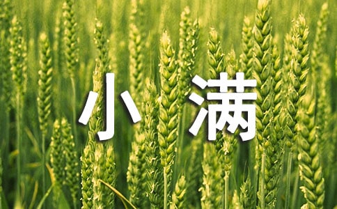 ����С�M����ף���Z�����x50�䣩