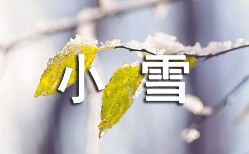 �P(gu��n)��Сѩ��(ji��)������g�V�Z