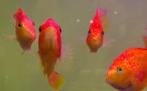 ��ҊС�~����ʲô��˼