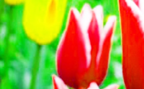 С�W���꼉�P������������ģ�ͨ��15ƪ��