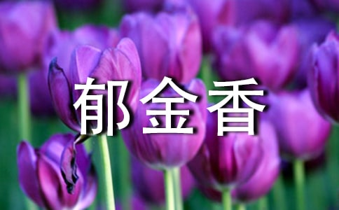 ���������꼉����