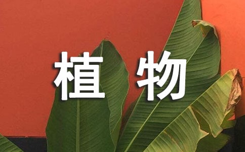 ֲ���^����ӛ6�t��С������L