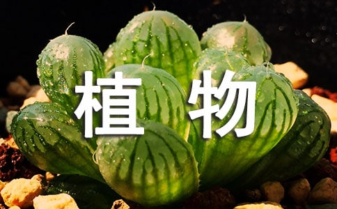 ֲ������k���n�ķ������x40ƪ��