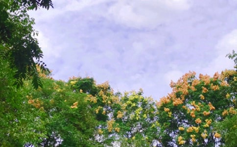 �P������ľ���