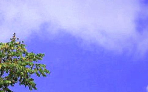 �P(gu��n)���糿�����ҹ���ĺþ���