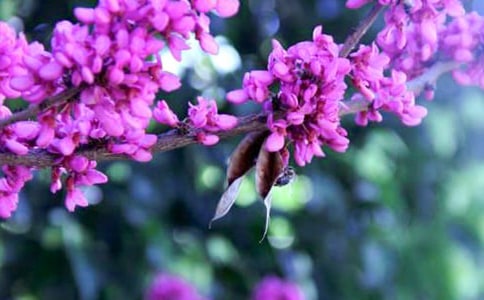 ��ϲ�g�����G�����꼉����