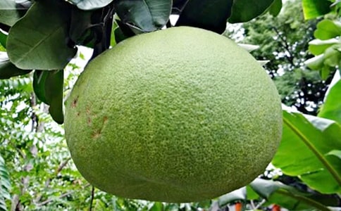 ���꼉(j��)�������ąR��8ƪ